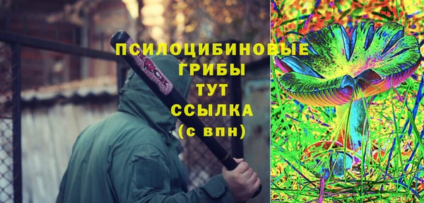 PSILOCYBIN Беломорск